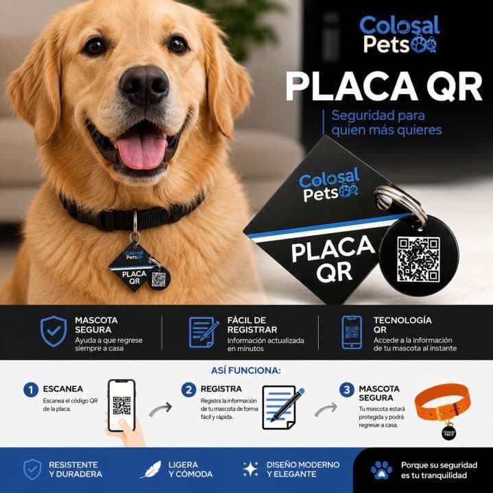 PLACA QR