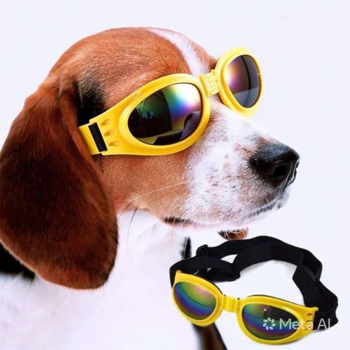 GAFAS PARA MASCOTAS