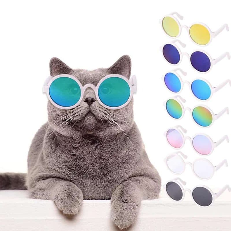 GAFAS PARA GATOS