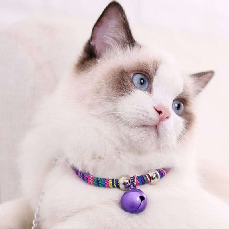COLLAR TEJIDO