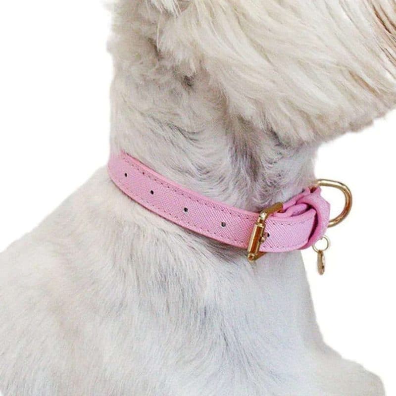 COLLAR CUERO VARIADO