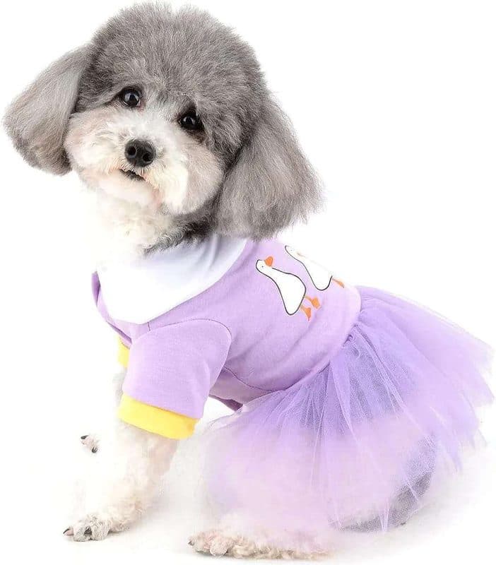 VESTIDOS PARA MASCOTA