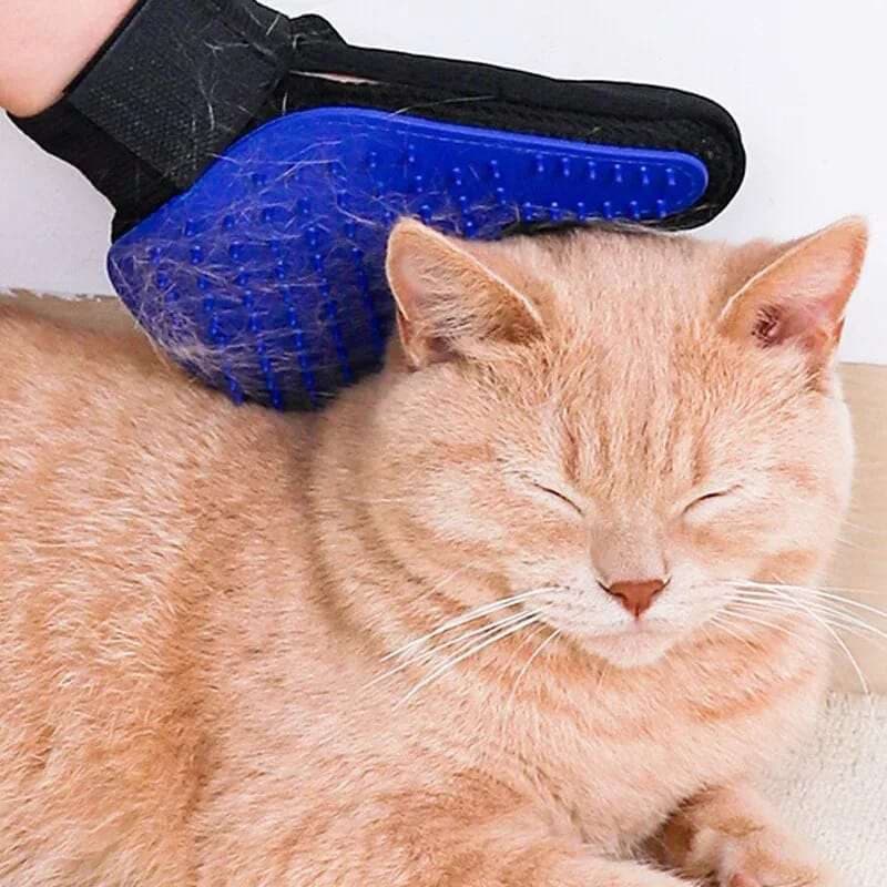 GUANTE QUITA PELO