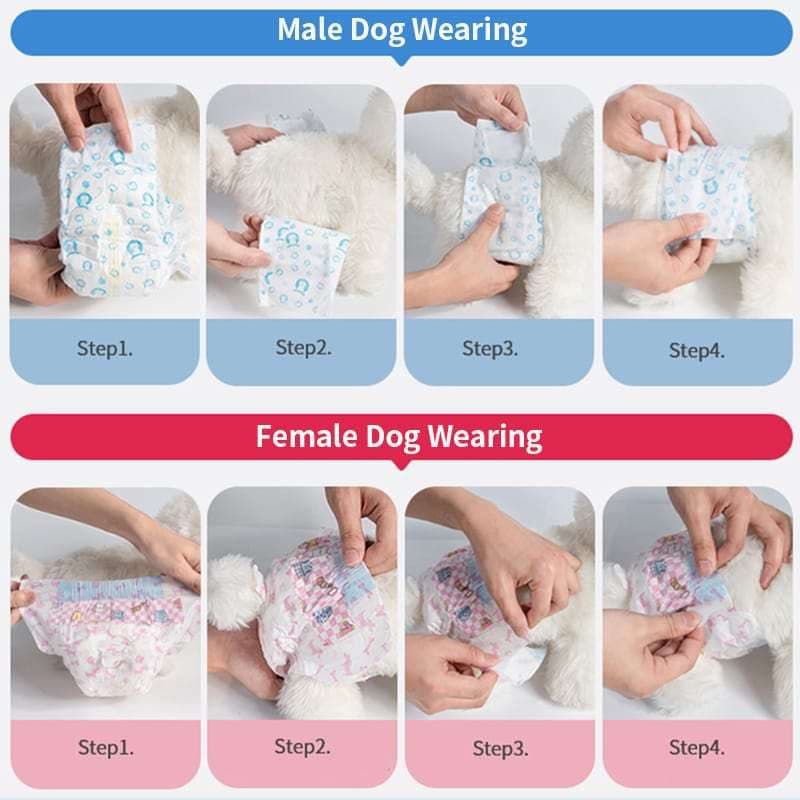 PAÑAL ABSORBENTE TALLA S X12 AZUL MACHO
