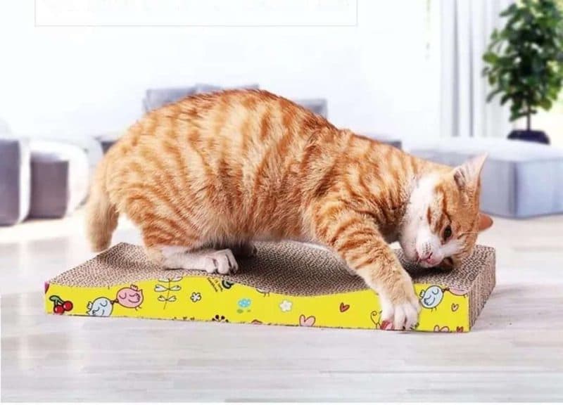 RASCADOR PARA GATO