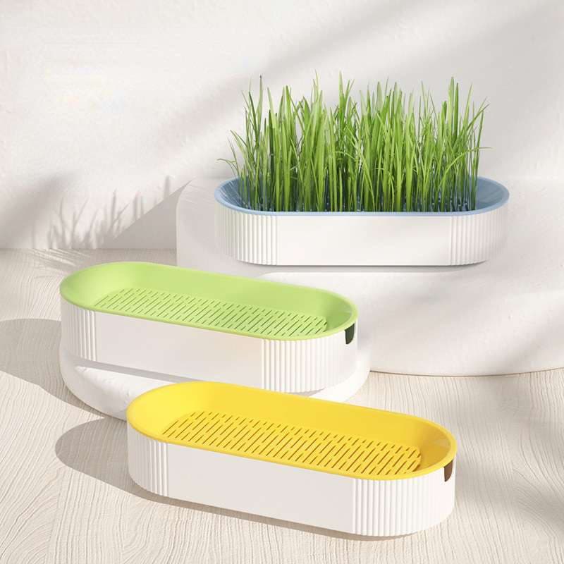KIT DE CULTIVO DE PASTO DE GATO HIDROPÓNICO