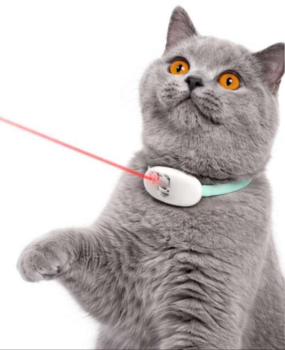 JUGUETE COLLAR LASER