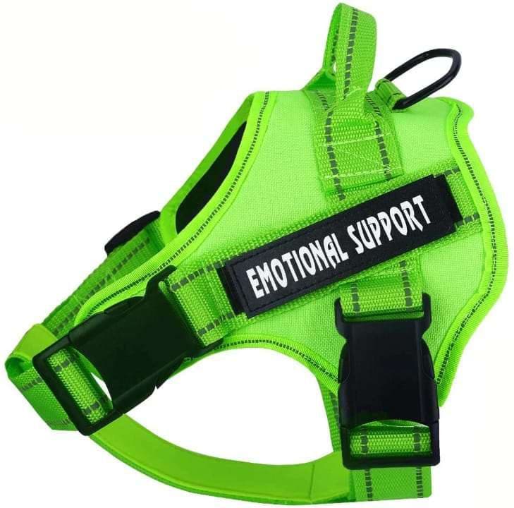 PECHERA SERVICE DOG TALLA XS-S