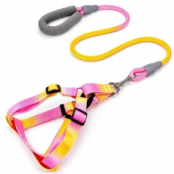 ARNES MULTICOLOR PASTELES TALLA L