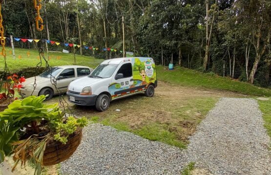 guarderia de perros en medellin