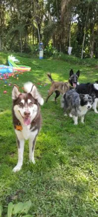 Imagen #1 de Anónimo